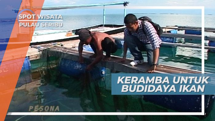 Budidaya Ikan di Tengah Laut dengan Keramba, Pulau Seribu