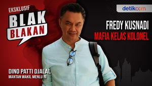 Dino Patti Djalal Blak-blakan Sebut Fredy Mafia Kelas Kolonel