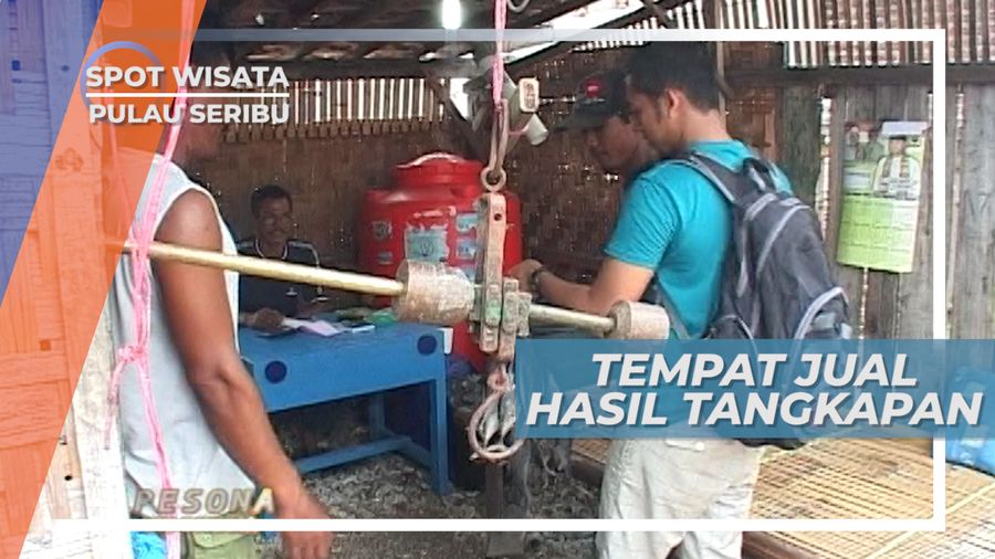 Menjual Ikan Hasil Tangkapan Di Pulau Panggang Kepulauan Seribu