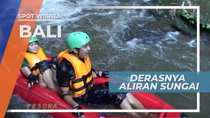 Arum Jeram Di Deras Sungai Irigasi Desa Jatiluwih Tabanan Bali 
