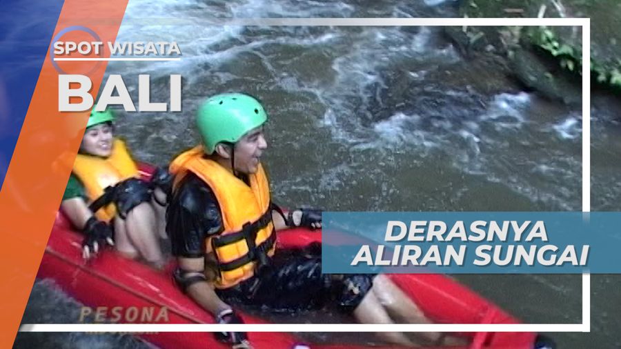 Arum Jeram Di Deras Sungai Irigasi Desa Jatiluwih Tabanan Bali 