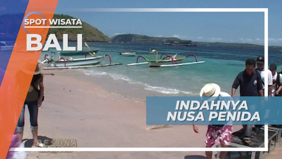 Disambut Penyu Pantai Toyapakeh Nusa Penida