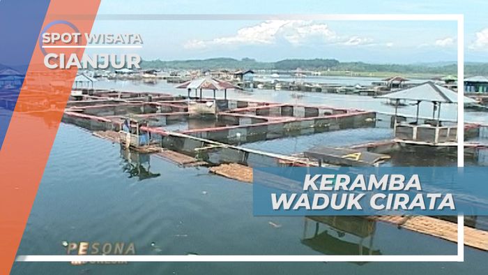 Menyambut Pagi Lumbung Ikan Jawa Barat, Keramba Ikan Waduk Cirata Cianjur