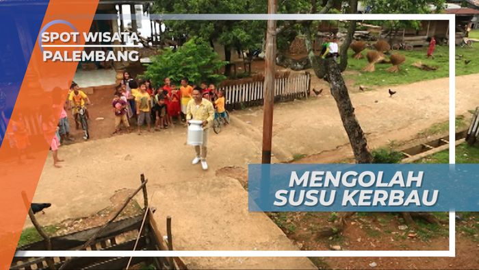 Mengolah Susu Kerbau, Memperoleh Gulo Puan di Desa Bangsal Sumatera Selatan