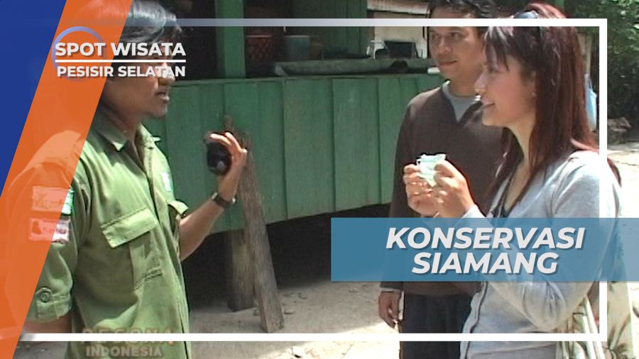 Semarak Raungan Siamang di Pulau Marak, Sumatera Barat