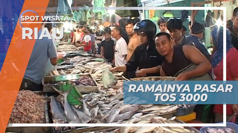 Mencari Sotong Karang di Pasar Tos 3000 Batam