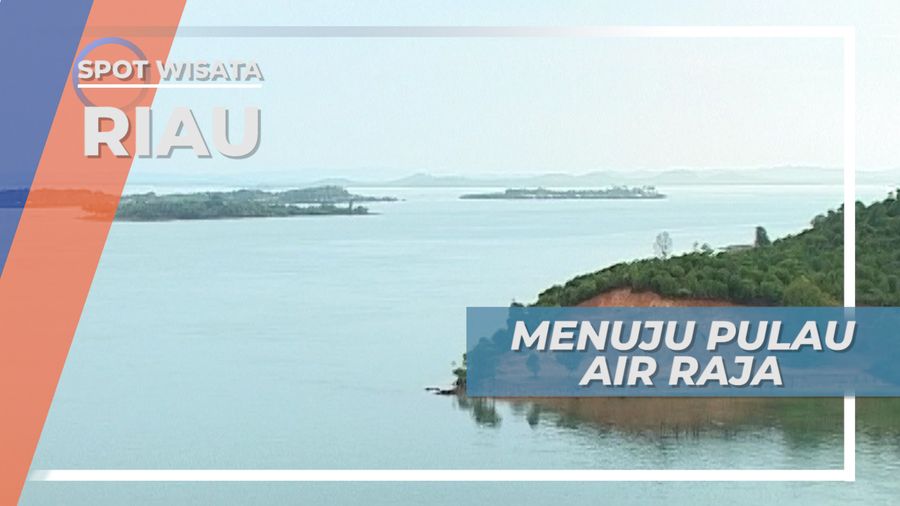 Pulau Air Raja Kepulauan Batam, Mencari Sotong Karang