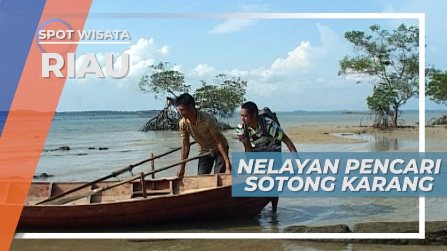 Penduduk Pulau AIr Raja Batam, Mayoritas Nelayan Pencari Sotong Karang
