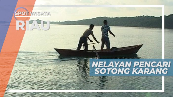 Mencari Sotong Karang Perairan Kepulauan Batam