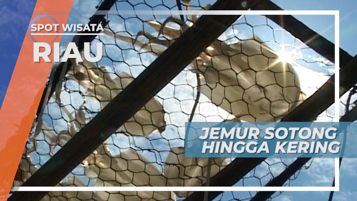 Matahari Pulau Air Raja Membantu Sotong di Kepulauan Batam
