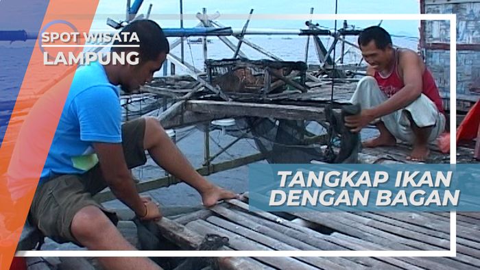 Ke Tengah Laut Terombang-ambing Gelombang Demi Ikan Teri, Lampung