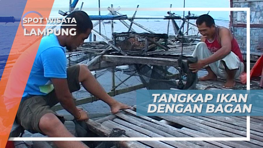 Ke Tengah Laut Terombang-ambing Gelombang Demi Ikan Teri, Lampung