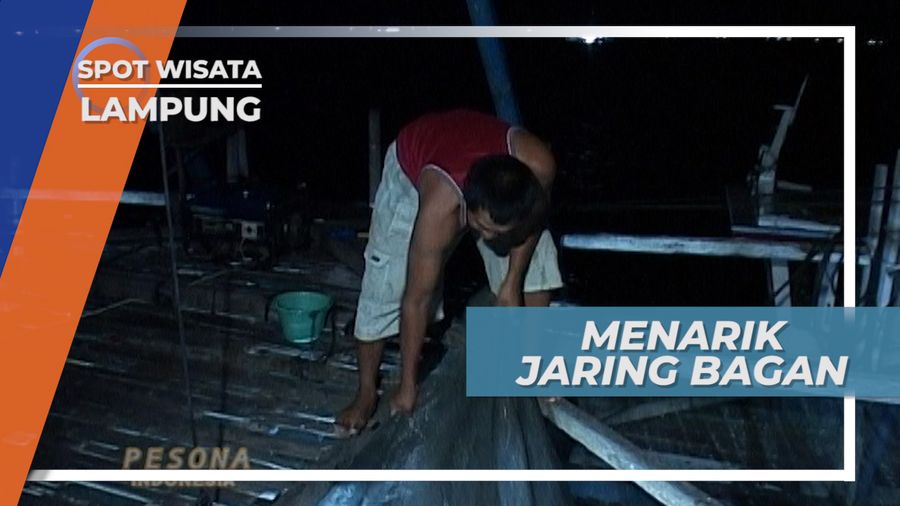 Setelah Dua Jam Menunggu Berharap Teri yang Melimpah, Lampung