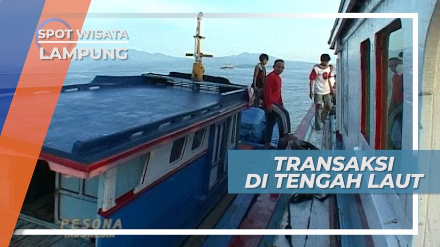 Tangkapan Teri Sepi, Transaksi di Tengah Laut jadi Solusi, Lampung