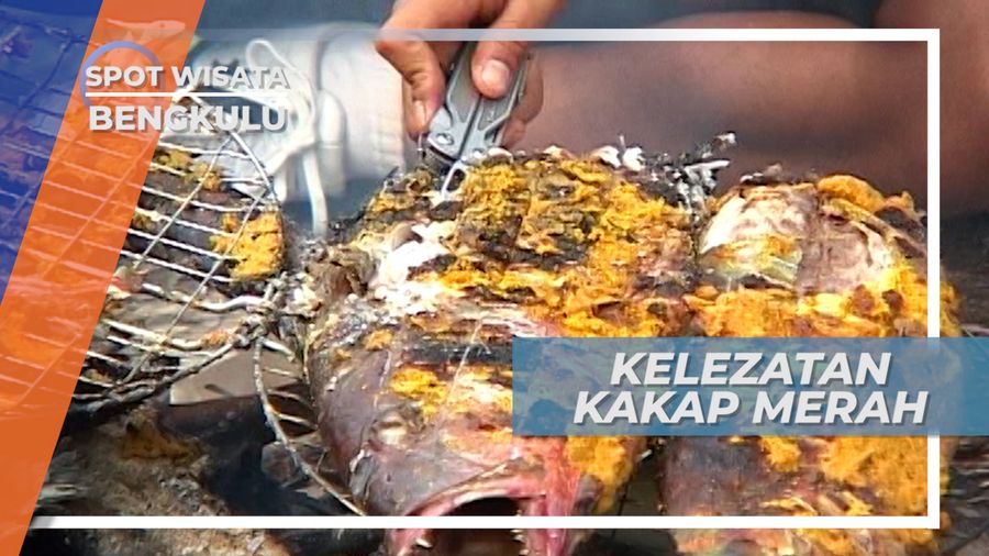 Kelezatan Ikan Kakap Merah Hasil Tangkapan di Perairan Bengkulu