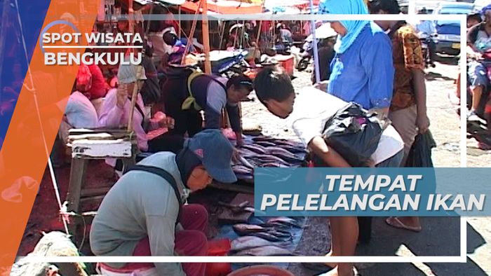 Pelelangan Ikan, Tempat Para Nelayan Menjual Hasil Tangkapan, Bengkulu