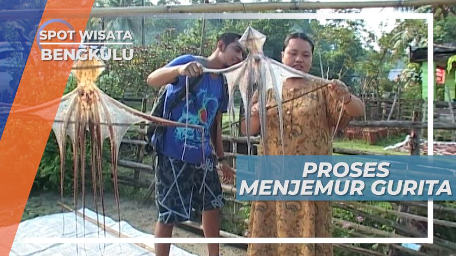 Cara Unik Tahapan Mengolah Gurita, Bengkulu
