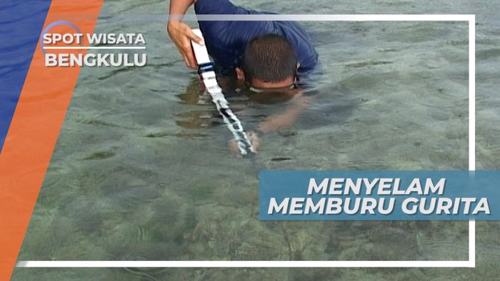 Air Laut Surut dan Ombak nan Tenang, Waktu Terbaik Berburu Gurita, Bengkulu