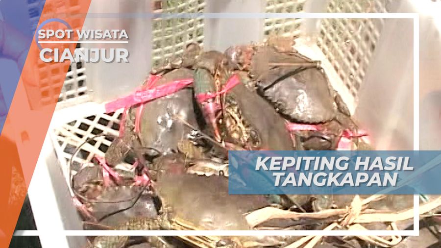 Membawa Pulang Kepiting Hasil Tangkapan dan Mengolahnya, Cianjur