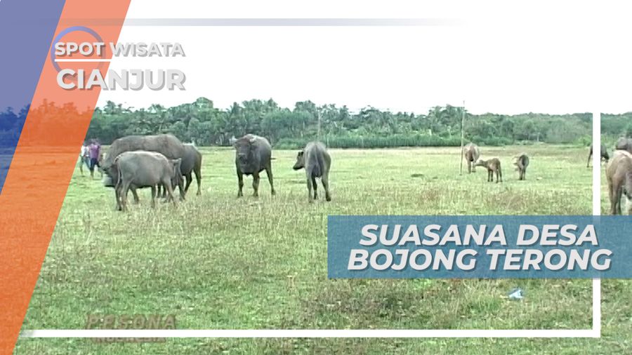 Pemandangan Alam Indah di Desa Bojong Terong, Cianjur
