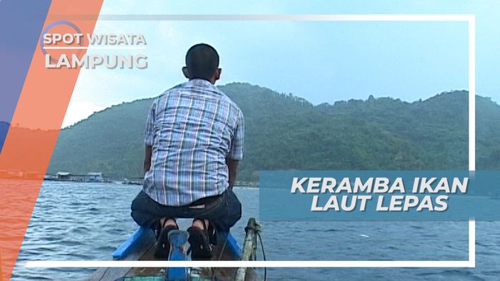Budidaya Kerapu Dalam Keramba di Laut Lepas, Lampung