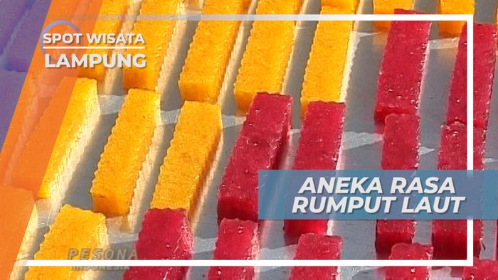 Aneka Rasa Rumput Laut yang Sangat Unik, Lampung