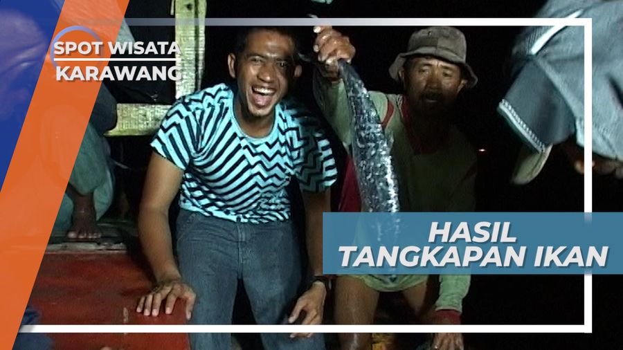 Aneka Ikan Hasil Tangkapan Para Nelayan, Karawang
