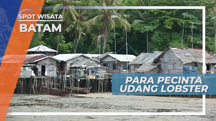 Lobster, Si Udang Raksasa dengan Citarasa Nikmat, Batam