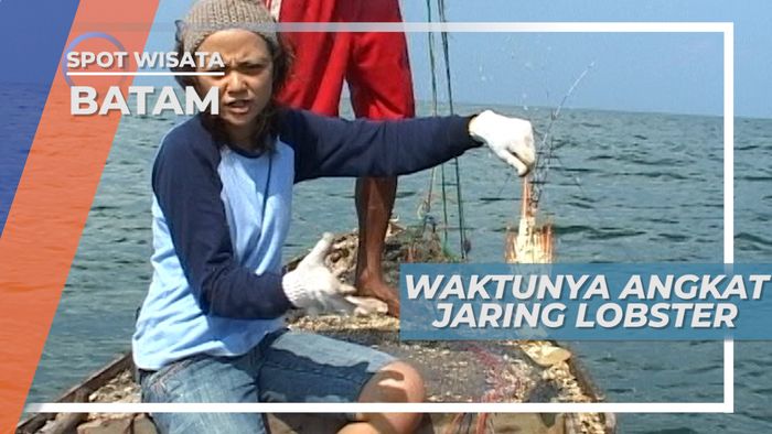 Mengangkat Jaring Lobster di Pagi Hari, Batam