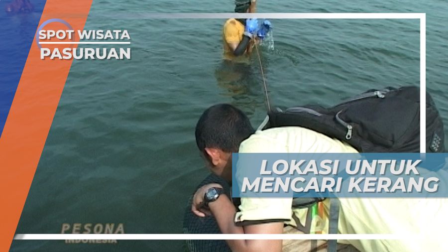 Berburu Kerang ala Nelayan Panggungrejo Pasuruan