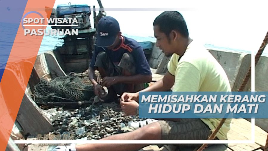 Kerang, Tangkapan Utama Nelayan Panggungrejo Pasuruan