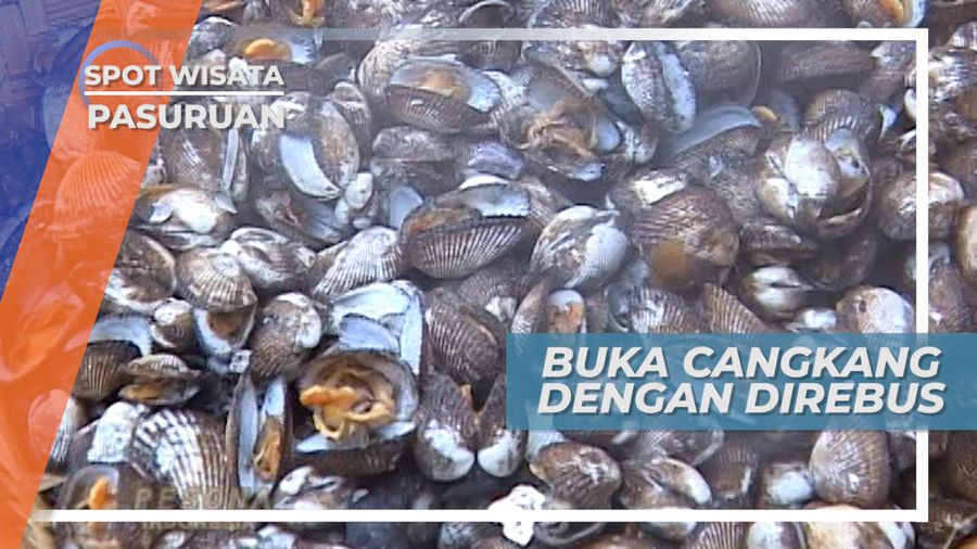 Merebus Kerang untuk Mempermudah Pengambilan Daging, Pasuruan