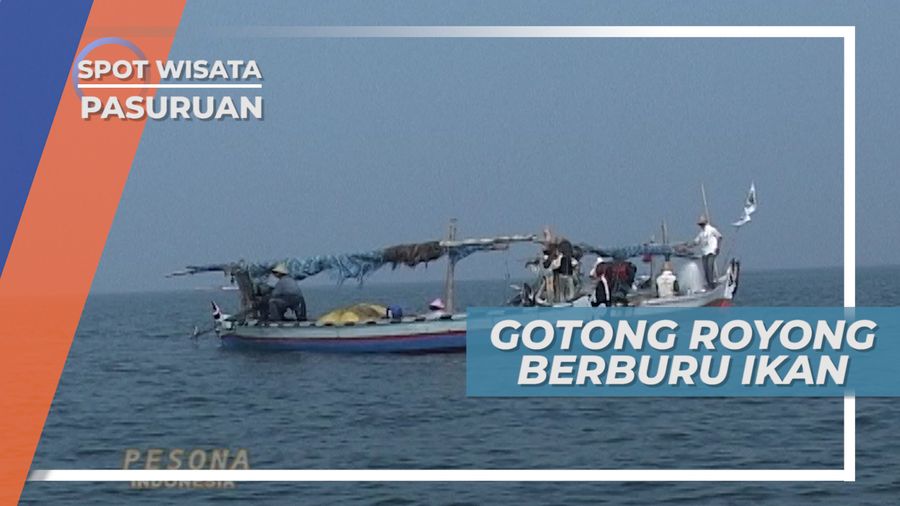 Berkelompok, Teknik Menangkap Ikan ala Nelayan Pasuruan