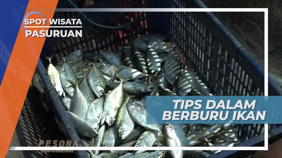 Fresh From The Ocean, Menyantap Gurihnya Ikan Hasil Tangkapan, Pasuruan