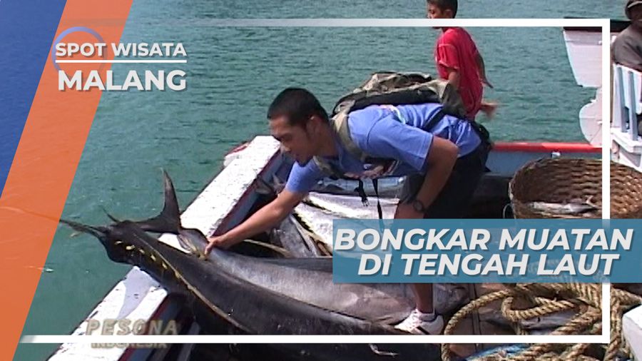 Bongkar Muat Ikan Hasil Tangkapan Nelayan di Tengah Laut, Malang