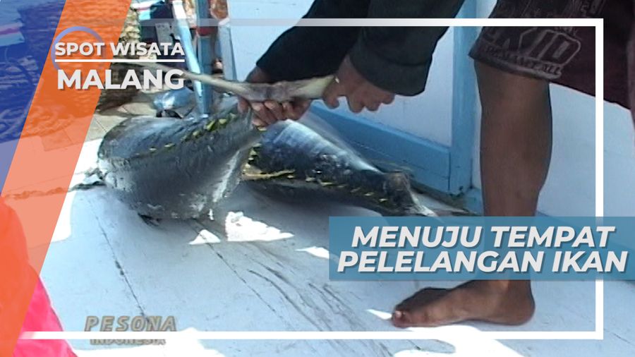 Semangat Membara Kebersamaan Para Nelayan, Malang