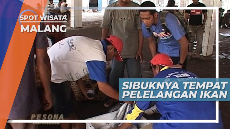 Timbang Menimbang Tawar Menawar, Pelelangan Ikan Kota Malang