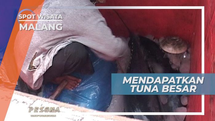 Perjuangan Mendapatkan Ikan Tuna Super Besar, Malang