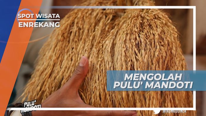 Pulu Mandoti, Beras Ketan Asli Tanah Enrekang Sulawesi Selatan