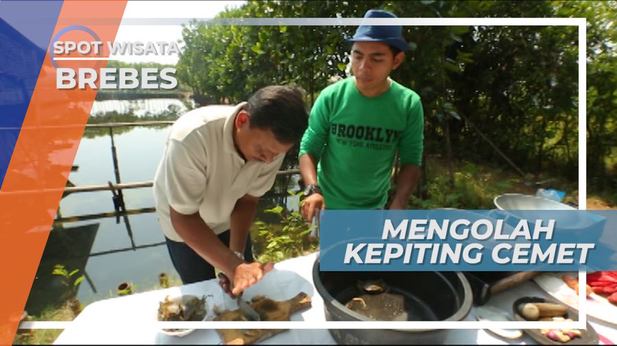 Mengolah Kepiting Cemet Bercangkang Lunak, Brebes