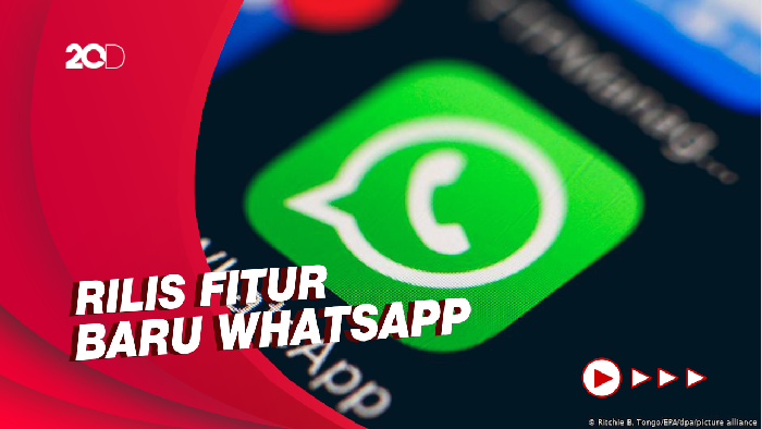 Asyik! Kini Bisa Telepon dan Video Call Via WhatsApp Desktop