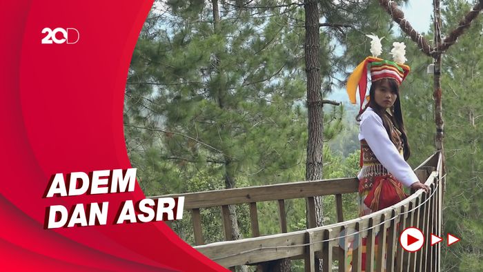 Keindahan Wisata Hutan Pinus Lenong Mamasa