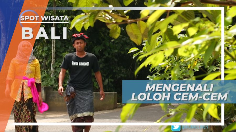 Loloh Cem-cem, Minuman Berkhasiat Asal Desa Panglipuran Bali