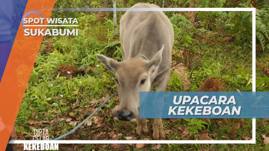 Mengenal Upacara Adat Kekeboan Desa Ciptagelar, Sukabumi