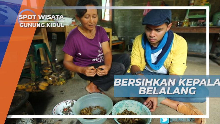 Membersihkan Belalang Sebelum Dimasak, Gunung Kidul