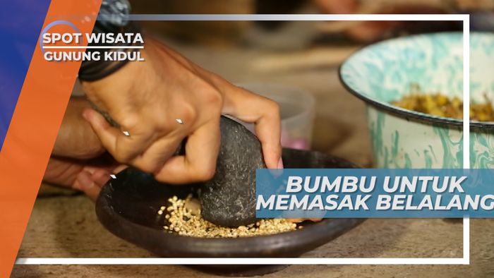 Memasak Belalang Goreng Dengan Bumbu Khas Gunung Kidul
