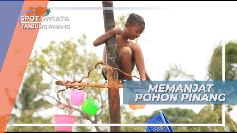 Panjat Pinang di Laut, Berebut Hadiah di Puncak Batang Pohon, Tanjung Pinang