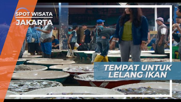 Mengunjungi Sibuknya Pelelangan Ikan Muara Angke Jakarta