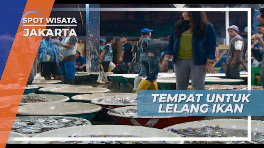 Mengunjungi Sibuknya Pelelangan Ikan Muara Angke Jakarta
