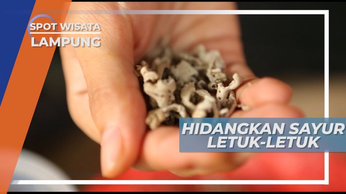 Nasi Hangat, Sahabat Menyantap Menu Khas Lampung yang Mantap